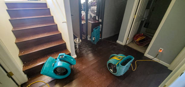 Best Mold removal after water damage  in Lewisburg, PA