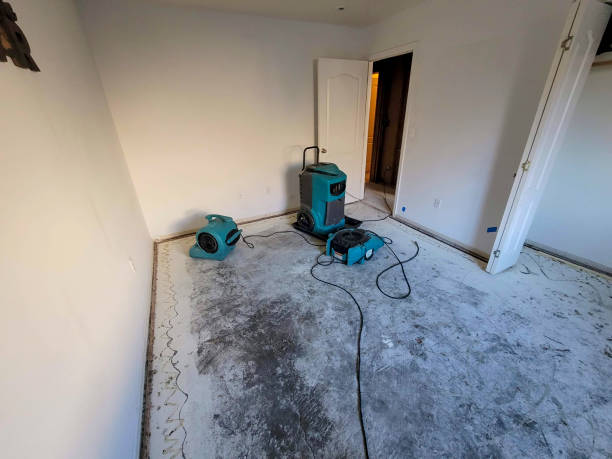 Best Fire Damage Restoration  in Lewisburg, PA