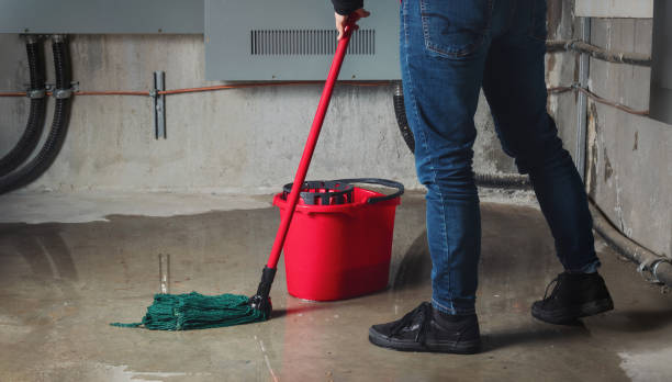 Best Water damage restoration company  in Lewisburg, PA