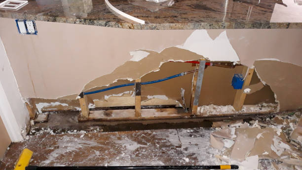 Best Carpet water damage restoration  in Lewisburg, PA