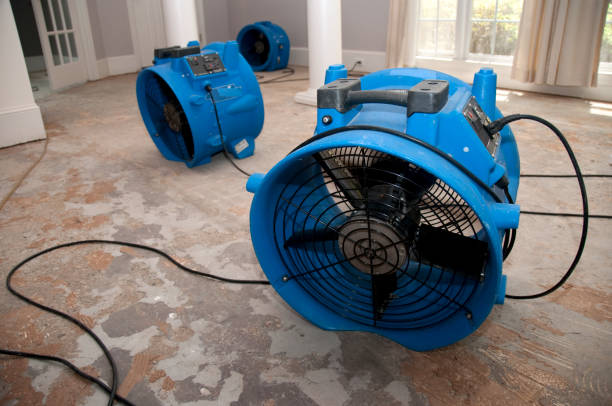 Best Ceiling water damage repair  in Lewisburg, PA