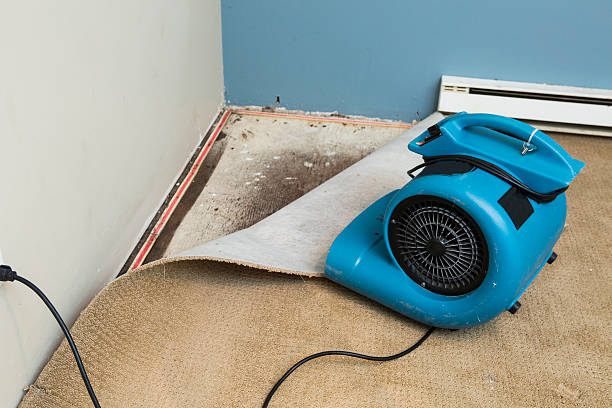 Best Water damage restoration near me  in Lewisburg, PA